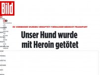 Bild zum Artikel: Tierhasser bedroht Frankfurt - Unser Hund wurde mit Heroin getötet
