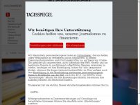 Bild zum Artikel: Reise von Russland organisiert: AfD-Politiker fahren in besetzte Ostukraine