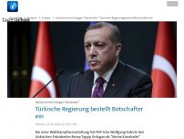 Bild zum Artikel: 'Kanalratte': Türkische Regierung bestellt Botschafter ein