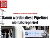 Bild zum Artikel: Die Spur führt in den Kreml - Darum wird diese Pipeline niemals repariert