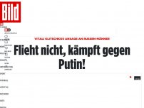 Bild zum Artikel: Klitschkos Ansage an Russen-Männer - Flieht nicht, kämpft gegen Putin!