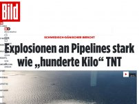 Bild zum Artikel: Schwedisch-dänischer Bericht - Explosionen an Pipelines stark wie „hunderte Kilo“ TNT