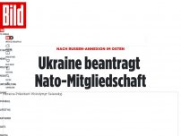 Bild zum Artikel: Noch heute - Ukraine beantragt Nato-Mitgliedschaft