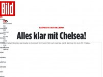 Bild zum Artikel: Leipzig-Star Nkunku - Alles klar mit Chelsea!