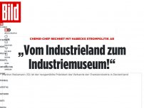 Bild zum Artikel: Chemie-Chef rechnet mit Habeck ab - „Vom Industrieland zum Industriemuseum!“