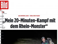 Bild zum Artikel: 2,62 Meter lang - „Mein 20-Minuten-Kampf mit dem Rhein-Monster“