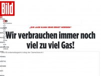 Bild zum Artikel: Bundesnetzagentur warnt - Wir verbrauchen immer noch viel zu viel Gas!