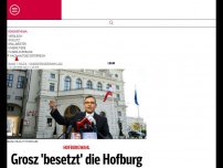 Bild zum Artikel: Grosz besetzt die Hofburg