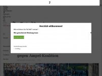 Bild zum Artikel: Protest in Berlin: 8000 AfD-Anhänger demonstrieren gegen Ampel-Koalition