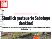 Bild zum Artikel: Geheimes BKA-Papier zur Bahn-Attacke - Staatlich gesteuerte Sabotage denkbar!