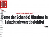 Bild zum Artikel: „Ihr Schweine, verpisst euch!“ - Ukrainer bei Demo in Leipzig übel beleidigt