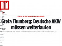 Bild zum Artikel: Klatsche für Habeck und die Grünen - Jetzt ist sogar Greta für die deutsche AKWende
