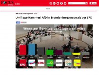 Bild zum Artikel: Nächste Landtagswahl 2024: Umfrage-Hammer! AfD in Brandenburg...