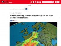 Bild zum Artikel: Sahara-Staub in der Luft: Sommer kehrt zurück nach Deutschland:...