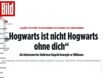 Bild zum Artikel: Harry-Potter-Star gestorben - Hagrid-Darsteller Robbie Coltrane ist tot