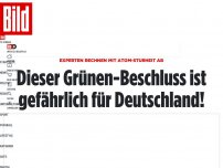 Bild zum Artikel: Experten rechnen mit Atom-Sturheit ab - Grünen-Beschluss ist gefährlich für Deutschland!