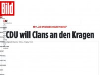 Bild zum Artikel: Geheimpapier enthüllt - CDU will ständige Sozial-Razzien bei Clans!