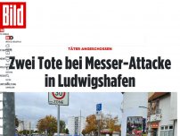 Bild zum Artikel: Täter angeschossen - Zwei Tote bei Messer-Attacke in Ludwigshafen