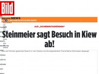 Bild zum Artikel: Aus „Sicherheitsgründen“ - Steinmeier sagt Besuch in Kiew ab!