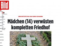 Bild zum Artikel: 100 000 Euro Schaden - Mädchen (14) verwüsten kompletten Friedhof