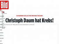 Bild zum Artikel: Schwerer Schlag für Meister-Trainer - Christoph Daum hat Krebs!
