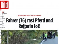Bild zum Artikel: Tragischer Unfall auf Kreisstraße - Senior rast Pferd und Reiterin tot!