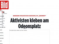 Bild zum Artikel: Brienner Straße/ Odeonsplatz „gesperrt“ - Aktivisten kleben am Odeonsplatz