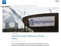 Bild zum Artikel: Polen lässt erstes AKW von US-Firma bauen