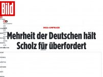 Bild zum Artikel: INSA-Umfrage - Mehrheit der Deutschen hält Scholz für überfordert