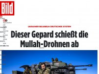 Bild zum Artikel: Ukrainer bejubeln deutsches System - Dieser Gepard schießt die Mullah-Drohnen ab