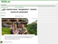 Bild zum Artikel: ZDF startet neue 'Bergdoktor'-Staffel schon im Dezember