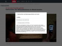 Bild zum Artikel: An Vermeer-Gemälde geklebt: Haftstrafen für Klimaaktivisten in Niederlanden