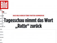 Bild zum Artikel: Nach BILD-Bericht über Twitter-Kommentar - Tagesschau nimmt das Wort „Ratte“ zurück