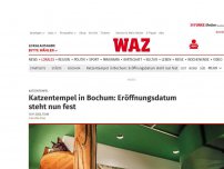 Bild zum Artikel: Katzentempel: Katzentempel in Bochum: Eröffnungsdatum steht nun fest