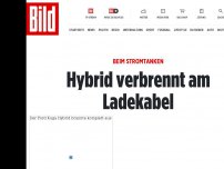 Bild zum Artikel: Beim Stromtanken - Hybrid verbrennt am Ladekabel