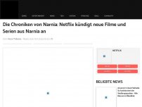 Bild zum Artikel: Die Chroniken von Narnia: Netflix kündigt neue Filme und Serien aus Narnia an