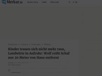 Bild zum Artikel: Verängstigte Kinder und besorgte Landwirte: Wolf reißt Schaf nur 20 Meter von Haus entfernt