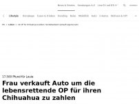 Bild zum Artikel: Hundebesitzerin verkauft eigenes Auto<br>