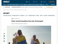 Bild zum Artikel: Katar streicht bezahlten Fans das Taschengeld