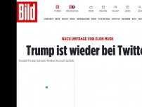 Bild zum Artikel: Elon Musk bestätigt - Trump darf zurück zu Twitter