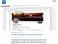 Bild zum Artikel: Nach Befragung von Nutzern: Twitter entsperrt Account von Trump