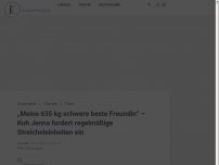 Bild zum Artikel: „Meine 635 kg schwere beste Freundin“ – Kuh Jenna fordert regelmäßig Umarmungen ein