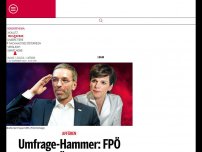 Bild zum Artikel: Umfrage-Hammer: FPÖ überholt SPÖ nach Doskozil-Eklat