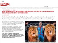 Bild zum Artikel: Beim Weihnachts-Circus endet Ära! Letzter Auftritt für den König der Löwen und seine 13 Raubkatzen