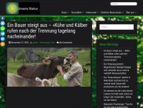 Bild zum Artikel: Ein Bauer steigt aus – «Kühe und Kälber rufen nach der Trennung tagelang nacheinander!