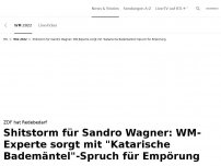 Bild zum Artikel: Sandro Wagner kassiert üblen Shitstorm<br>