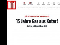 Bild zum Artikel: Jetzt plötzlich doch! - Katar verkündet Gas-Deal mit Deutschland