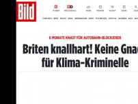 Bild zum Artikel: 6 Monate Knast für Autobahn-Blockierer - Briten mit voller Härte gegen Klima-Aktivist