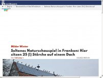 Bild zum Artikel: Seltenes Naturschauspiel in Franken: Hier sitzen 25 (!) Störche auf einem Dach
