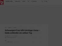 Bild zum Artikel: Schwangere Frau hilft trächtiger Katze – beide entbinden am selben Tag